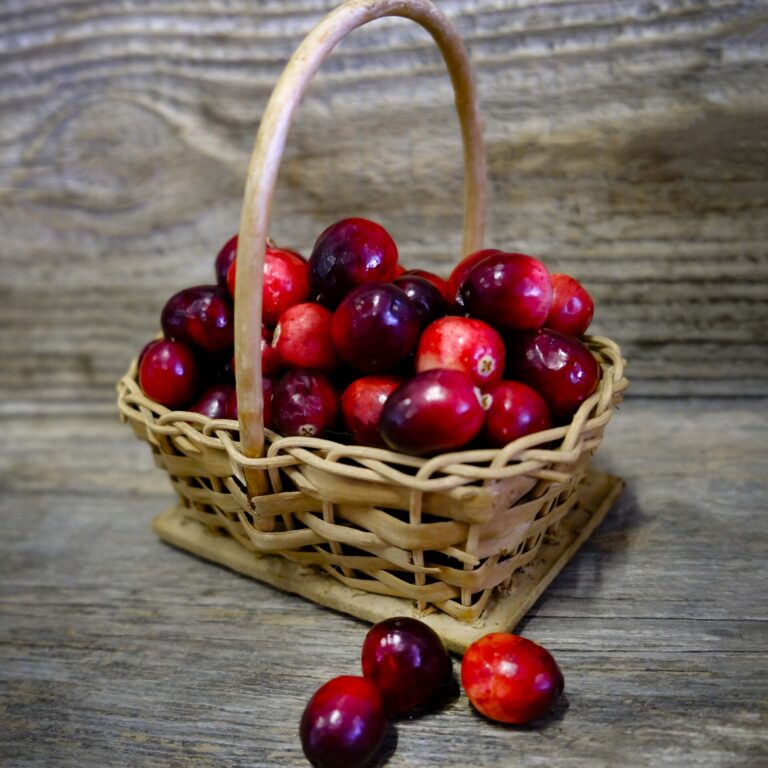 Garden Berry Cranberry LAH 2025 web_DSF8691 1 scaled