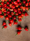 Cover Chilli Biquinho shutterstock_1739983172 scaled 2