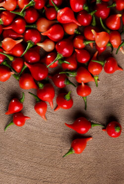 Cover Chilli Biquinho shutterstock_1739983172 scaled 2