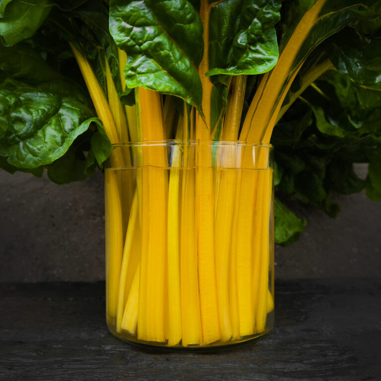Swiss Chard Sunset_DSF1705 2048x1356 1