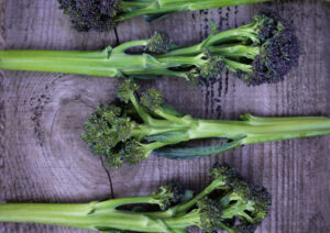 purple sprouting broccoli rudolph