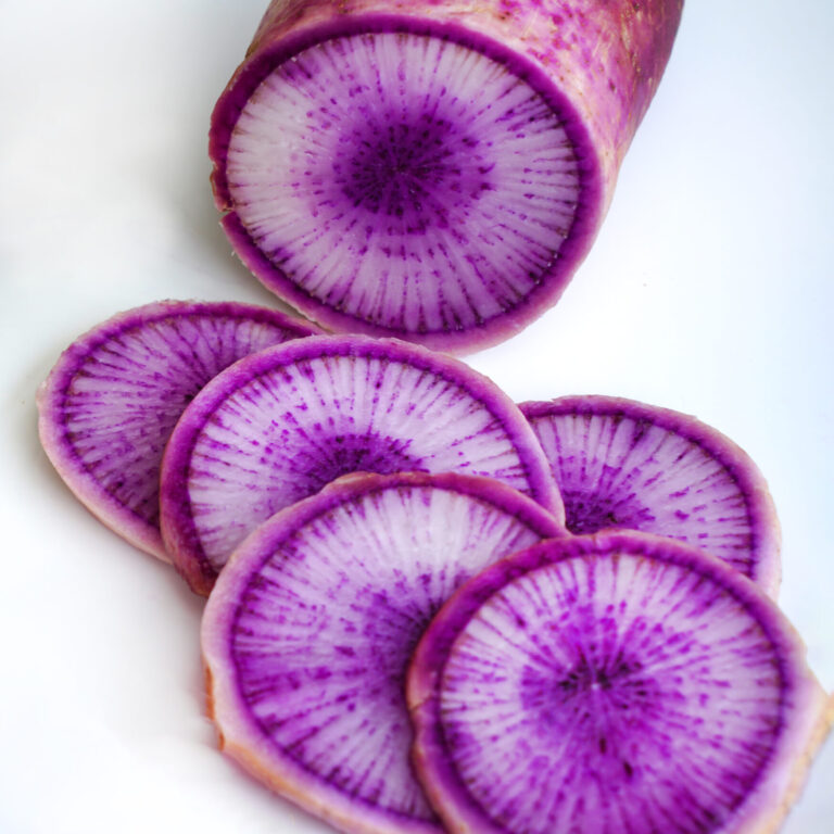 Radish Purple Pussycat Cover shutterstock_1887661828 1748x2048 1