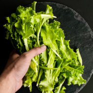 Salad Leaf Seeds