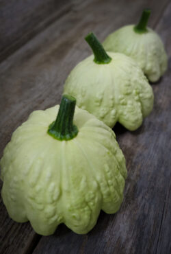 Courgette Jaune et Vert LAH 2026 web _DSF0241 scaled