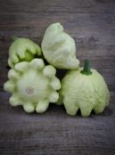 Courgette Jaune et Vert LAH 2026 web_DSF0236 scaled