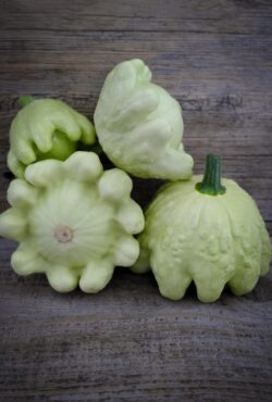 Courgette Jaune et Vert LAH 2026 web_DSF0236 scaled