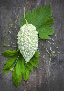 Bitter Melon Pearl Goya LAH 2021 web _DSF1461 scaled