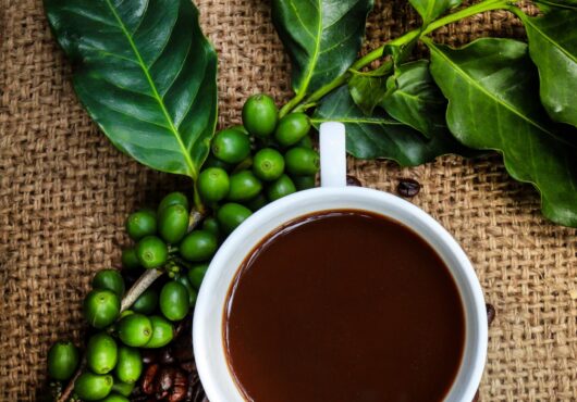 Edible Houseplant Arabica Coffee web _149849090 scaled