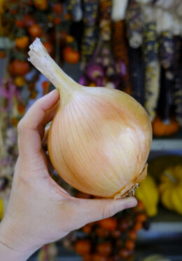 Onion Aisla Craig LAH 2025 web _DSF8808 scaled