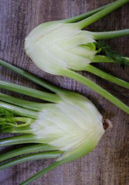 Fennel Buld Fino LAH 2026 web _DSF9996 scaled