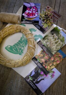 Grow your own flower wreath bundle