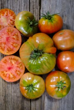 Tomato Love Apple LAH 2024 Cover _DSF4180 scaled