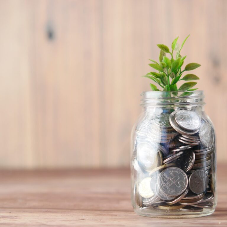 Growingsavingmoney credit Tofiqyu scaled 1