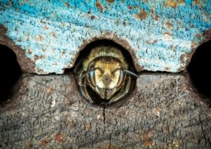 rsz_brent ross sw9fmytpz0c unsplash