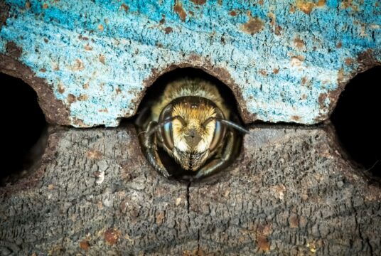 rsz_brent ross sw9fmytpz0c unsplash