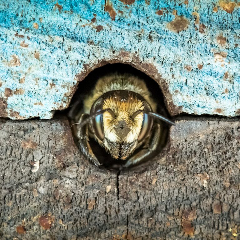 rsz_brent ross sw9fmytpz0c unsplash