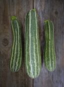 Courgette Striato LAH 2026 web _DSF0243 1 scaled