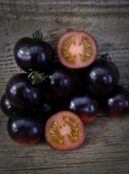 Tomato Indigo Rose LAH 2026 web_DSF0485 scaled