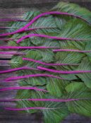 Amaranth Pink Beauty LAH 2022 web flatlay scaled