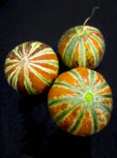 Melon Kajari LAH 2024 web _DSF4010 scaled
