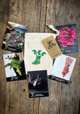 Foodie seed bundle