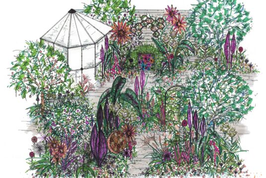 Garden illustration scaled 1