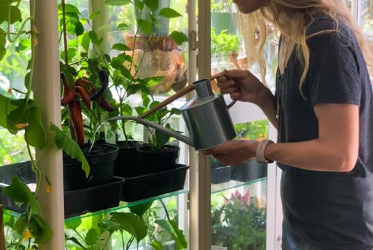 Woman waters her plants which are in pots on a shelf.