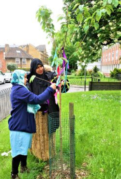 ribbons on new trees to remember lost friends