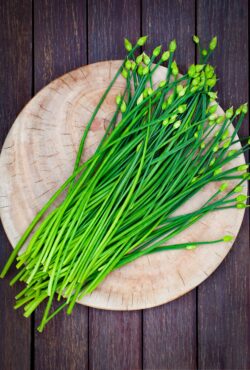 Chives Chinese portrait shutterstock_739593946 scaled