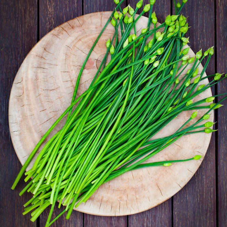Chives Chinese portrait shutterstock_739593946 scaled