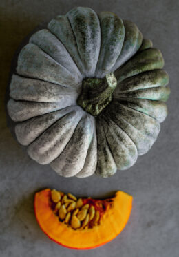 Pumpkin Queensland Blue cover shutterstock_2010328100