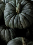 Pumpkin Queensland Blue web unsplash