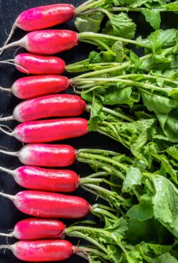 Spring Radish De dix huit jours cover shutterstock_429653317 scaled