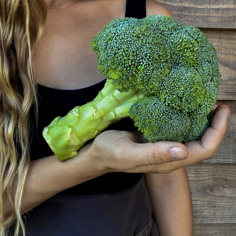 Broccoli Early Green Calebrese cover image00001