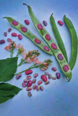 Cover Sunset Runner_DSF1985 copy scaled