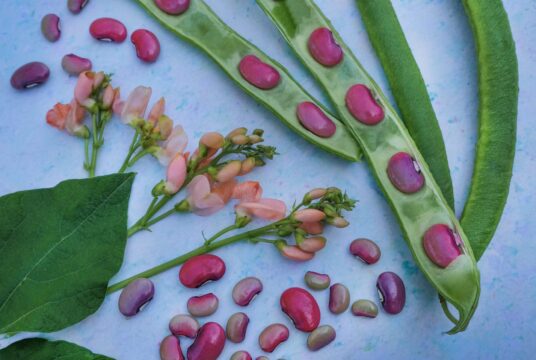 Cover Sunset Runner_DSF1985 copy scaled