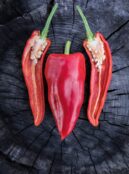 Cover Sweet Pepper Marconi _DSF2413 copy scaled