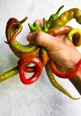 Sweet Pepper Spiralus 1 scaled