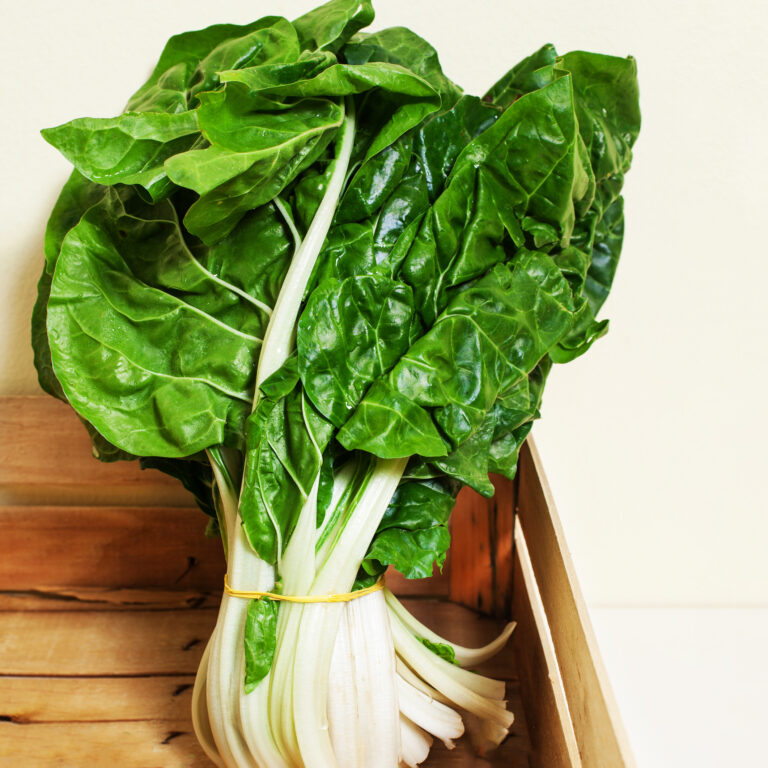 Swiss Chard Barese 2
