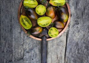 Tomato Atomic Fusion 1 scaled