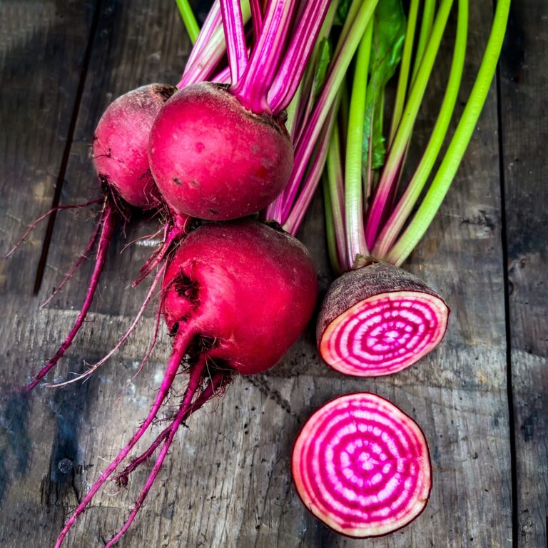 Beetroot Chioggia 1 scaled