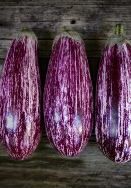 Aubergine Listada de Gandia LAH _DSF2522 scaled