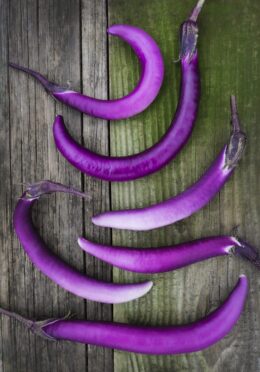 Cover Aubergine Ping Tung scaled