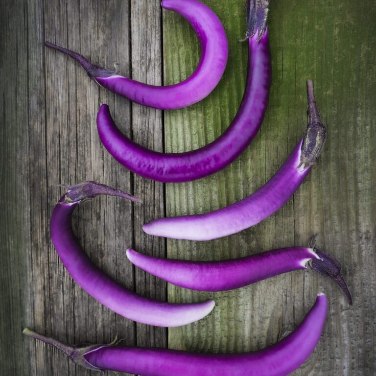 Cover Aubergine Ping Tung scaled