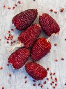 Drying Corn Strawberry portrait 2115141041 scaled