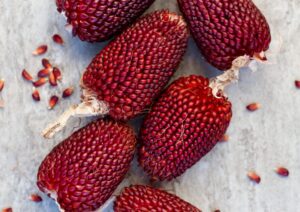 Drying Corn Strawberry portrait 2115141041 scaled
