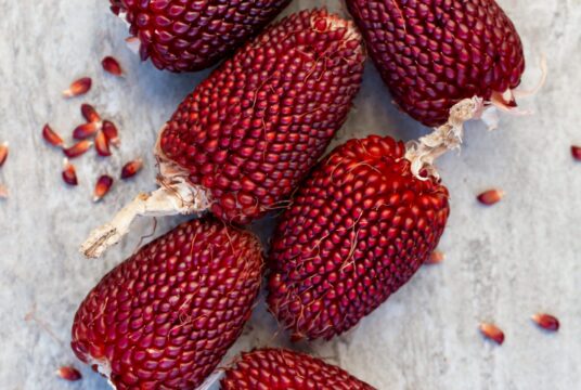 Drying Corn Strawberry portrait 2115141041 scaled