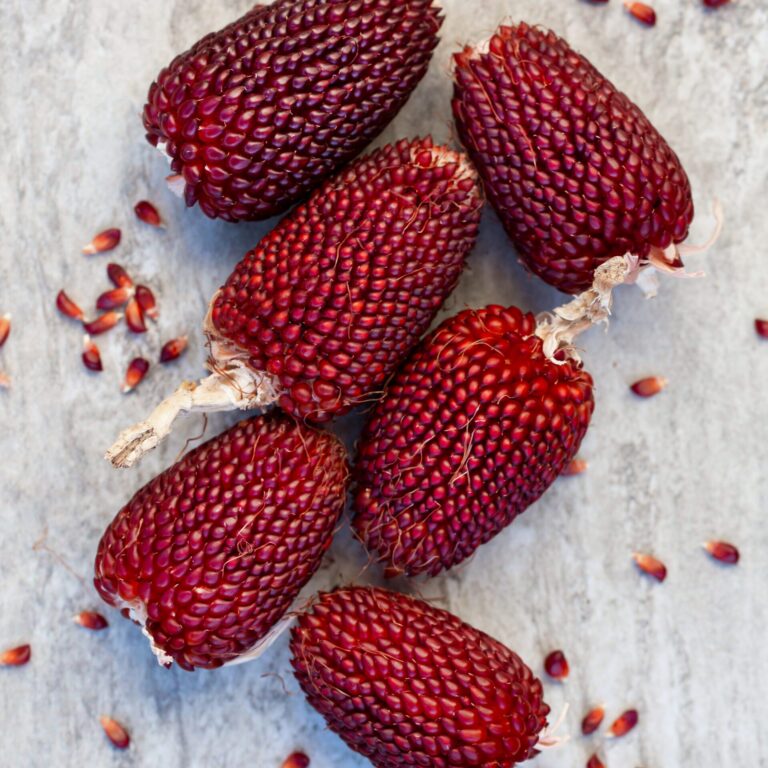 Drying Corn Strawberry portrait 2115141041 scaled