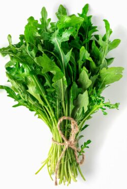 Rocket Sweet Oakleaf cover 2118603746 scaled