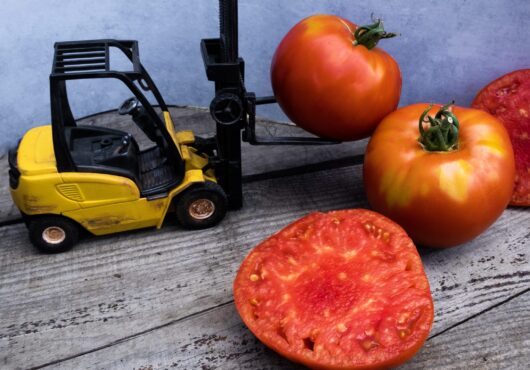 Tomato Mortgage Lifter cover scaled